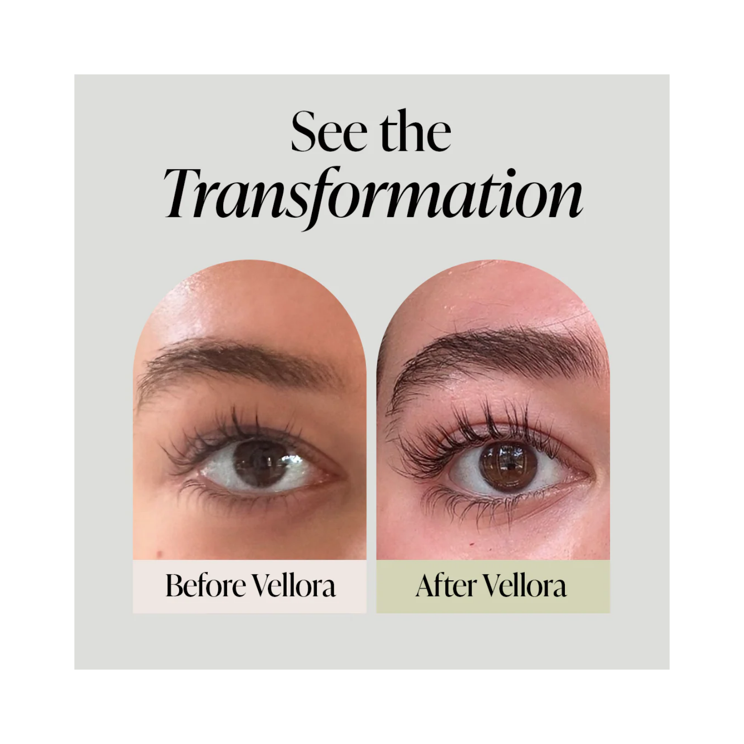 Vellora Lash & Brow System