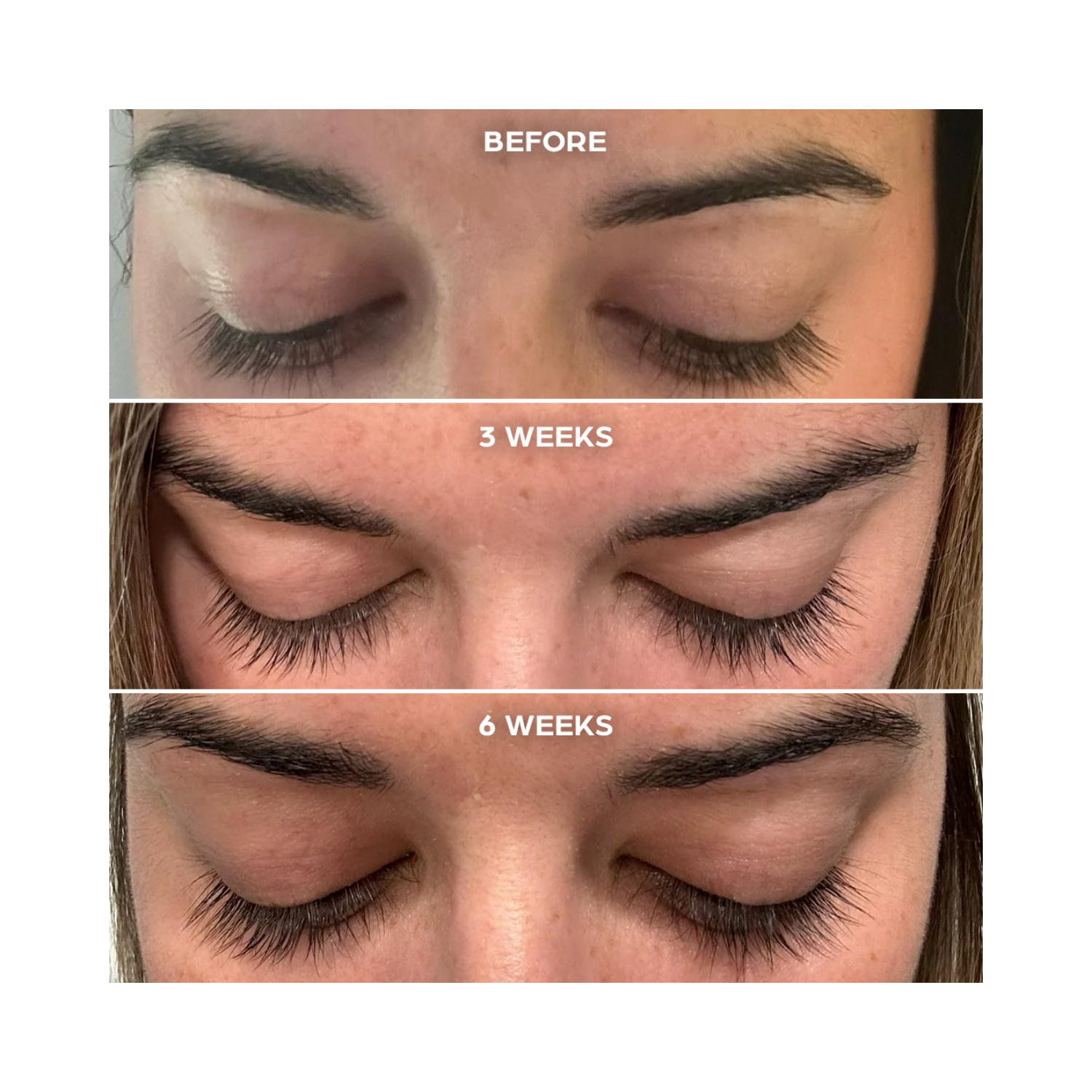 Vellora Lash & Brow System